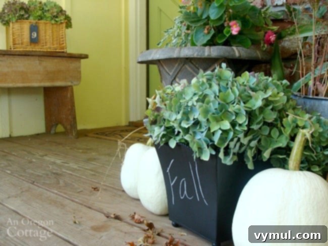 Fall-Winter Garden Yard Tasks-changing containers