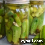 jars of dill pickles close