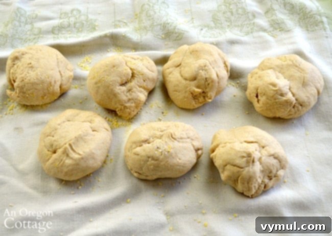 Pizza dough divided into equal portions on a counter