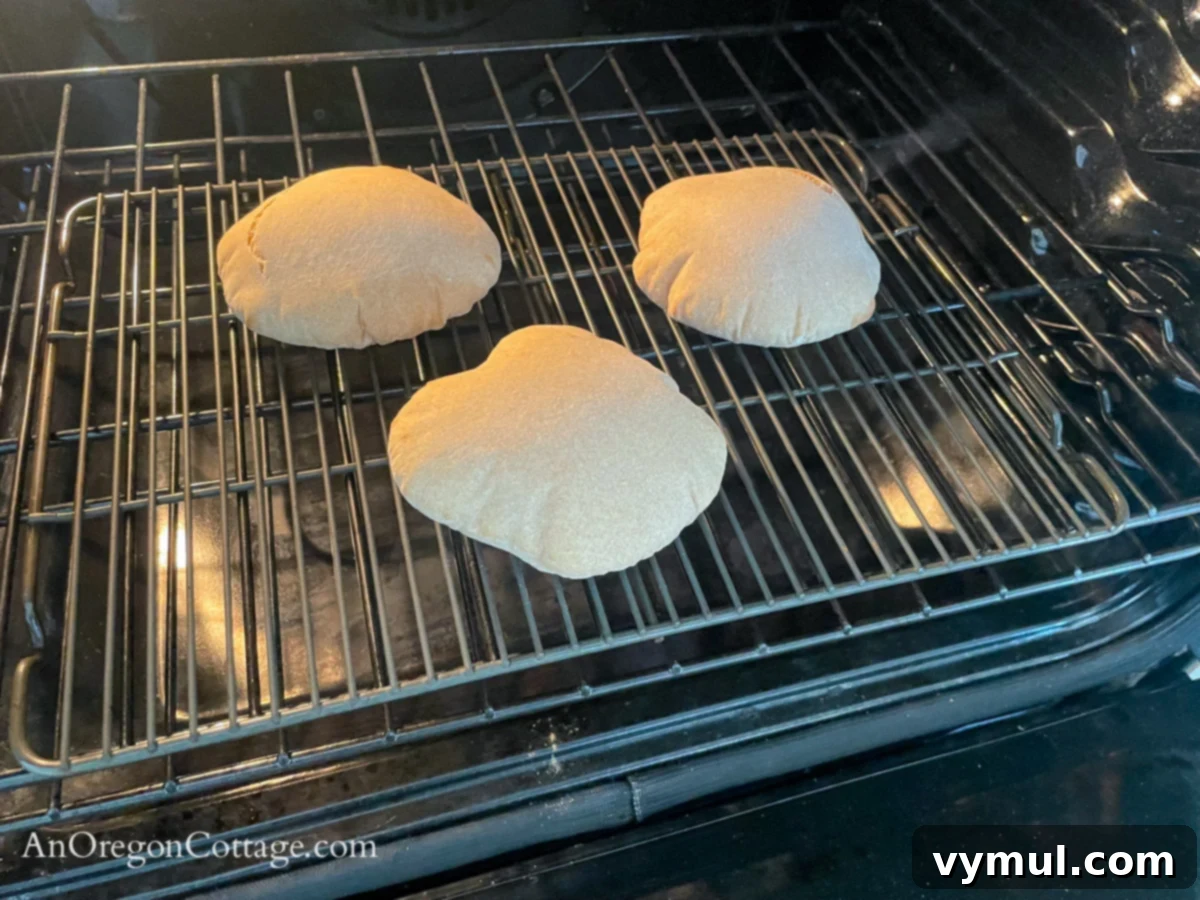 Simple Wholesome Homemade Pita 12 puffed cooked pita in oven