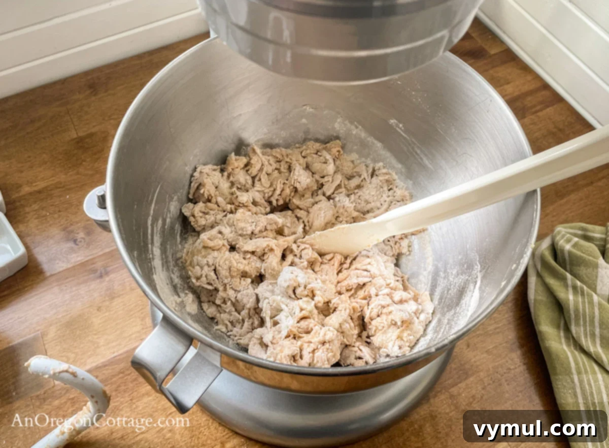 Simple Wholesome Homemade Pita 5 pita shaggy dough mixed in mixer bowl