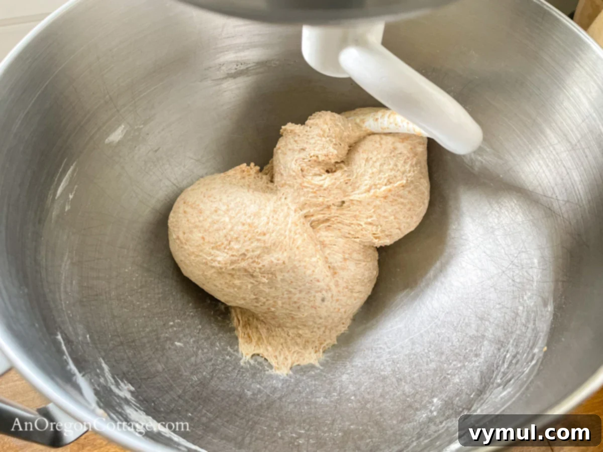 Simple Wholesome Homemade Pita 6 kneaded pita bread dough in mixer