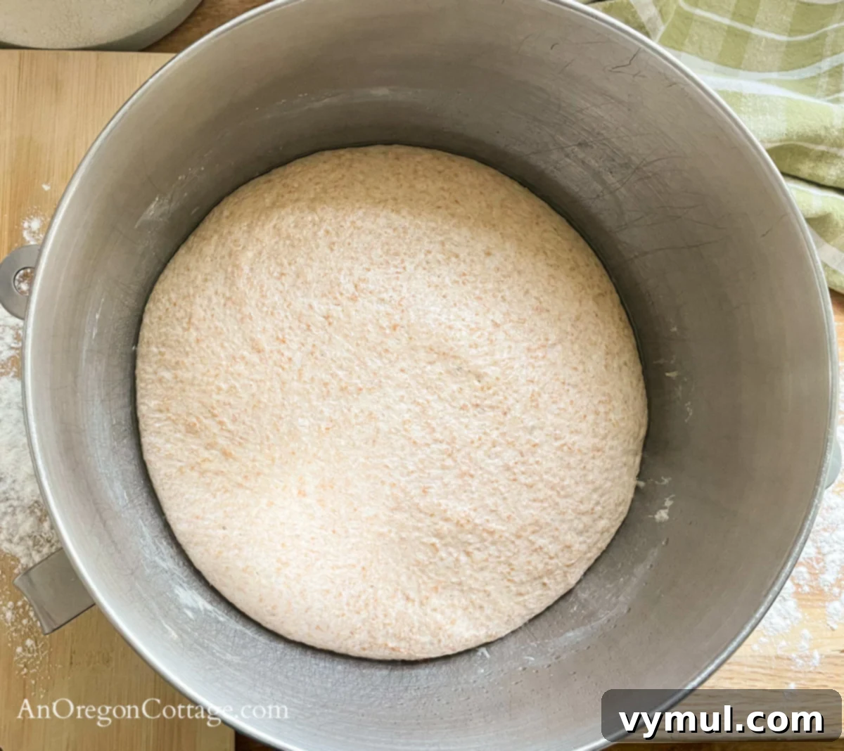 Simple Wholesome Homemade Pita 9 pita bread dough after rising