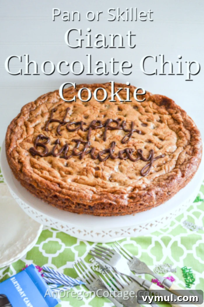 skillet chocolate chip cookie on stand