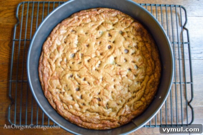 Giant Birthday Cookie in pan