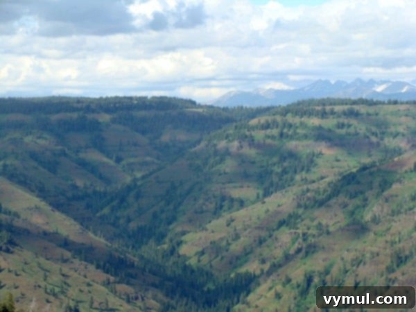 Hells Canyon: An Oregon Cottage Epic 2 Panoramic view of Hells Canyon from the Oregon side, showcasing vast wilderness and distant mountains.