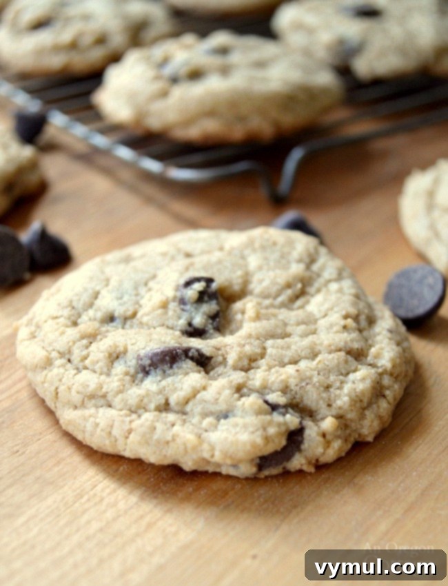 Amazing whole grain chocolate chip cookies