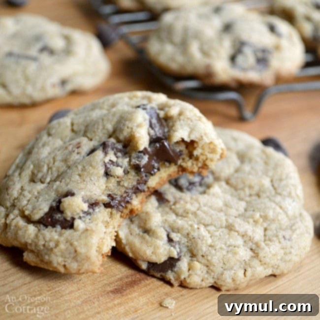 Soft chewy whole grain chocolate chip cookies