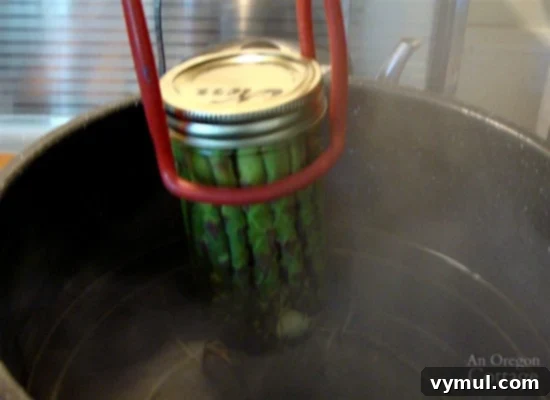 Mastering Pickled Asparagus A Simple Canning Tutorial 14 Pickling and Canning Asparagus_12-adding jar to canner