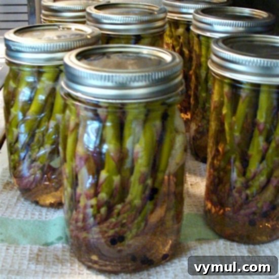 Mastering Pickled Asparagus A Simple Canning Tutorial 16 Pickled and Canned Asparagus-canned jars cooling