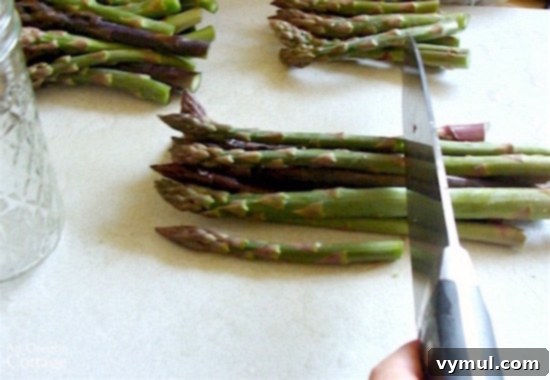 Mastering Pickled Asparagus A Simple Canning Tutorial 4 Pickling and Canning Asparagus_2-prepping asparagus
