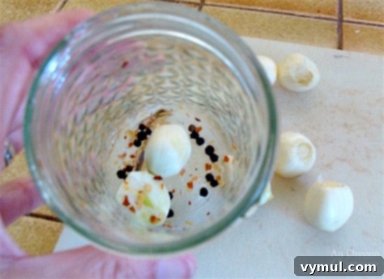 Mastering Pickled Asparagus A Simple Canning Tutorial 6 Pickling and Canning Asparagus_4-adding spices to jar