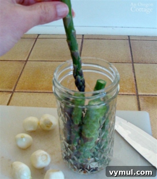 Mastering Pickled Asparagus A Simple Canning Tutorial 7 Pickling and Canning Asparagus_5-packing asparagus into jars