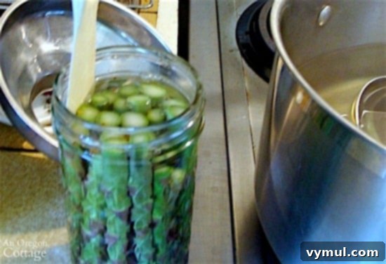 Mastering Pickled Asparagus A Simple Canning Tutorial 10 Pickling and Canning Asparagus_8-removing air bubbles