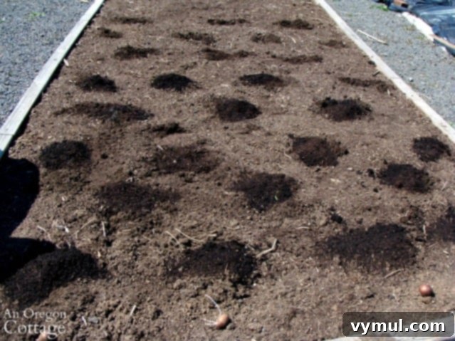 No-Dig Potatoes: The Simple Straw Method 5 easy potato planting-adding compost