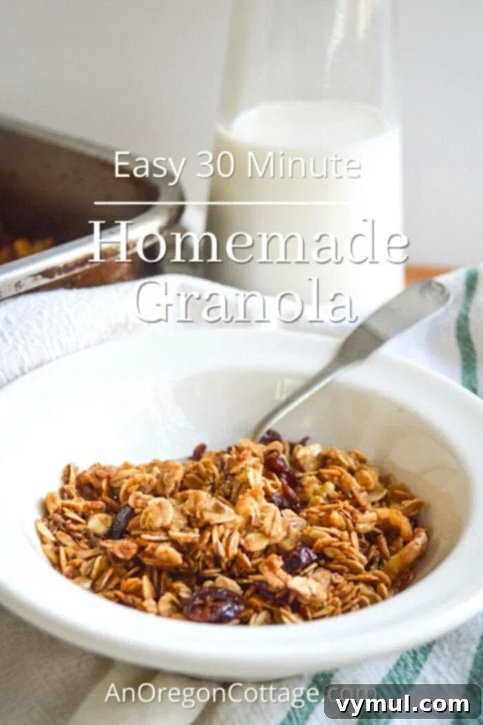 Speedy Pantry Granola 2 easy homemade granola