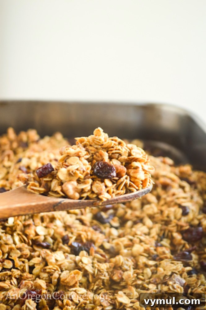 Speedy Pantry Granola 3 pantry basic granola on spoon