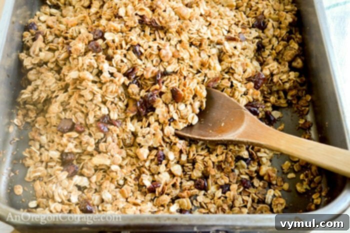 Speedy Pantry Granola 6 baked granola in pan