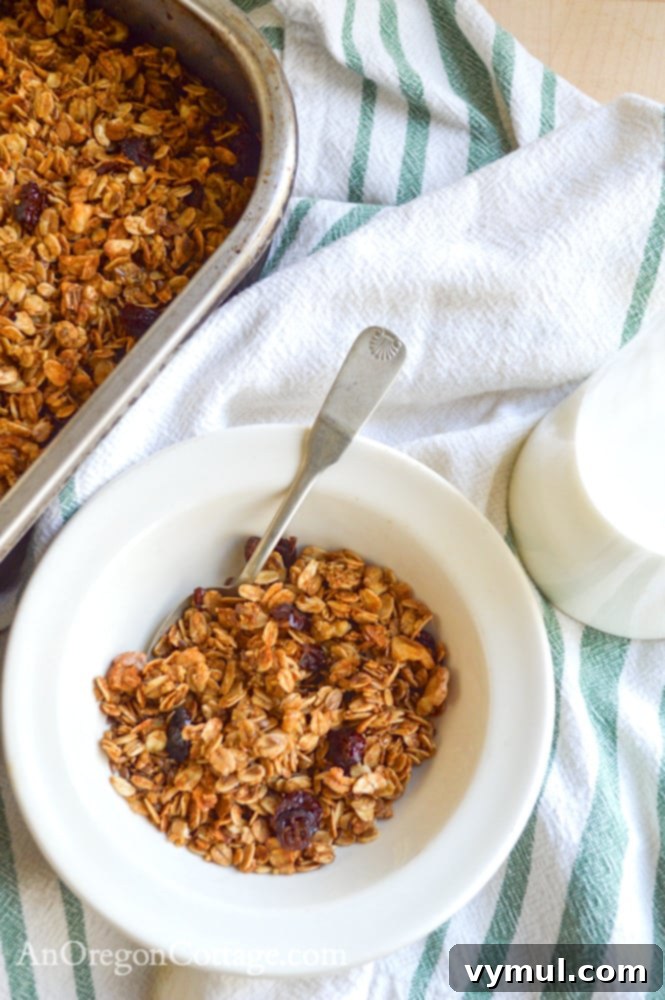 Speedy Pantry Granola 7 pantry basic granola above in bowl