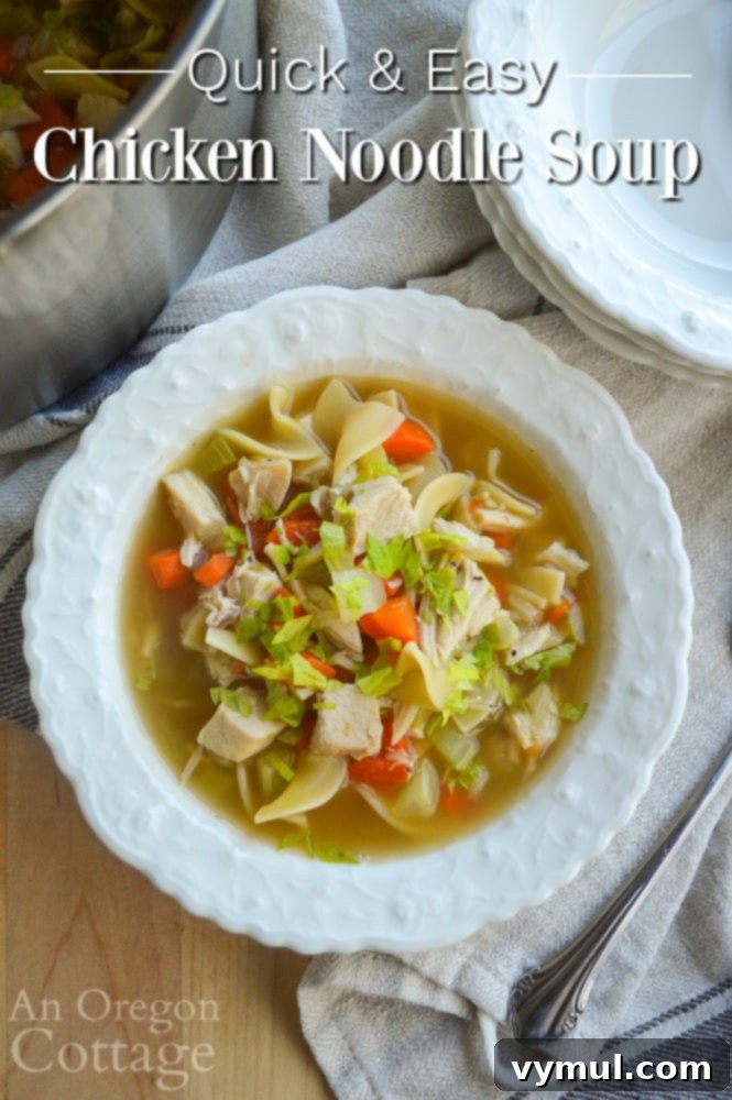 The Easiest Chicken Noodle Soup Ever 2 quick and easy homemade chicken noodle soup