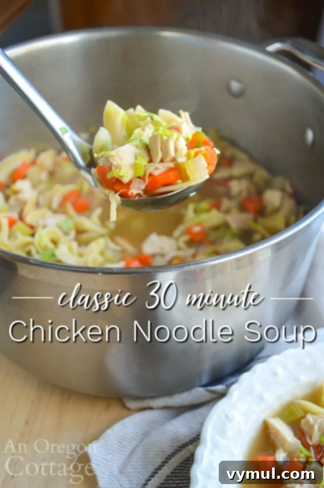 The Easiest Chicken Noodle Soup Ever 11 serving 30 minute chicken noodle soup