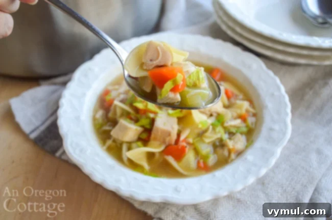 The Easiest Chicken Noodle Soup Ever 3 homemade chicken noodle soup in bowl