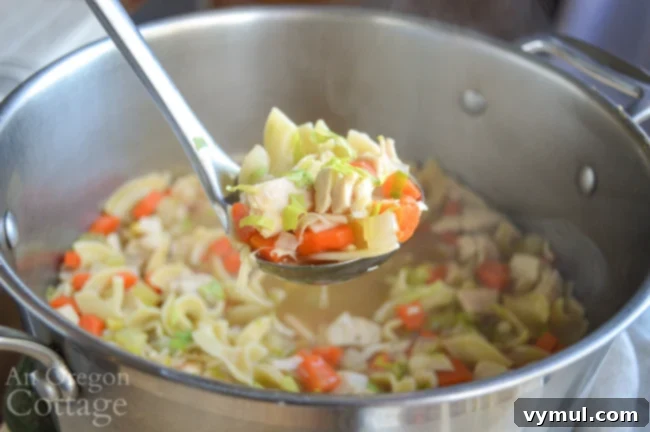 The Easiest Chicken Noodle Soup Ever 4 homemade chicken noodle soup on ladle