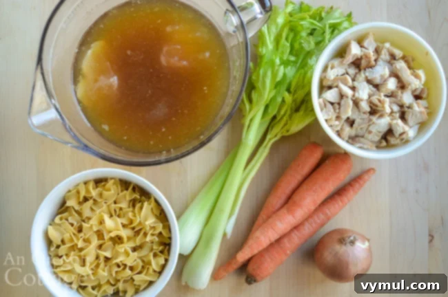 The Easiest Chicken Noodle Soup Ever 5 chicken noodle soup recipe ingredients