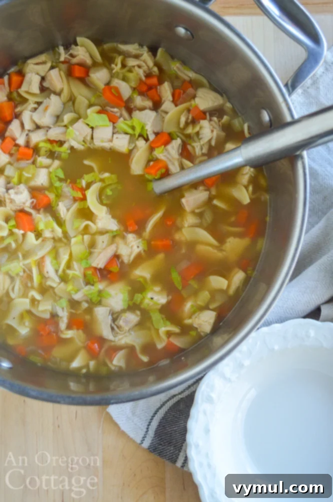 The Easiest Chicken Noodle Soup Ever 7 chicken noodle soup in pot