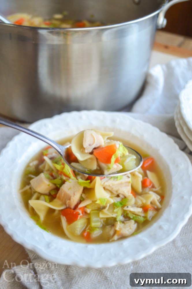 The Easiest Chicken Noodle Soup Ever 8 eating homemade chicken noodle soup