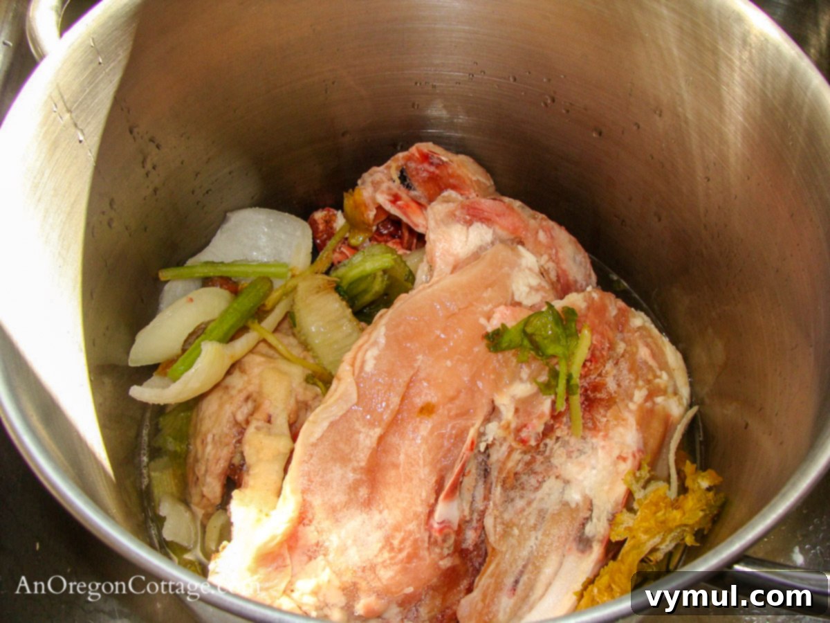 chicken and veg in stockpot