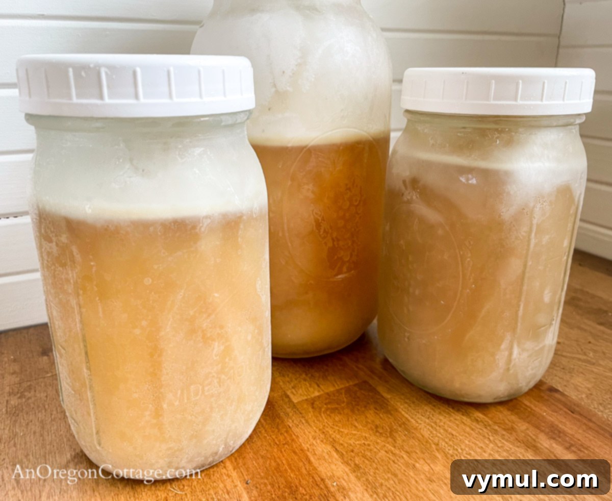 frozen chicken broth in mason jars