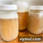 frozen chicken broth in mason jars