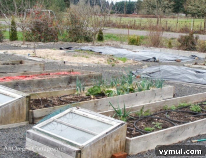 5 Steps to an Effortless Vegetable Garden Design 5 raised bed garden design for easy care