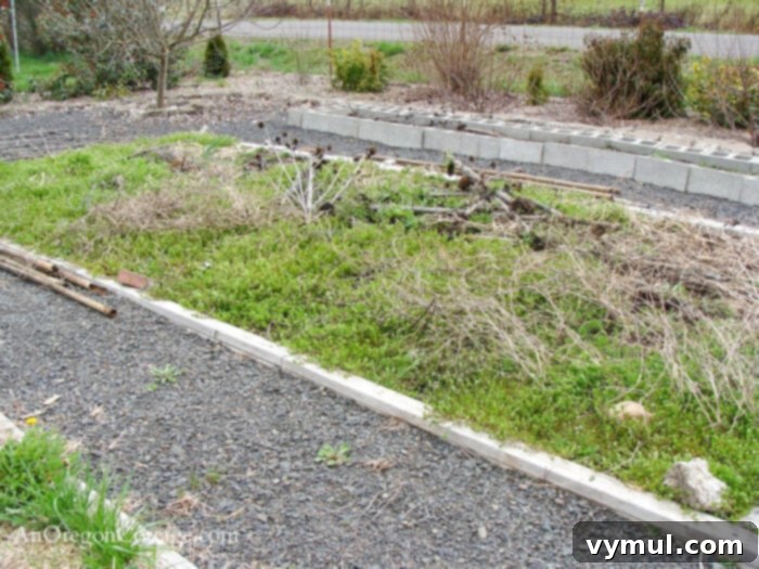 5 Steps to an Effortless Vegetable Garden Design 8 large weedy garden bed