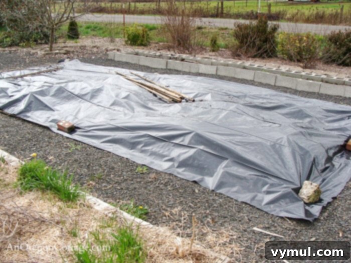 5 Steps to an Effortless Vegetable Garden Design 9 large weedy garden bed covered in plastic