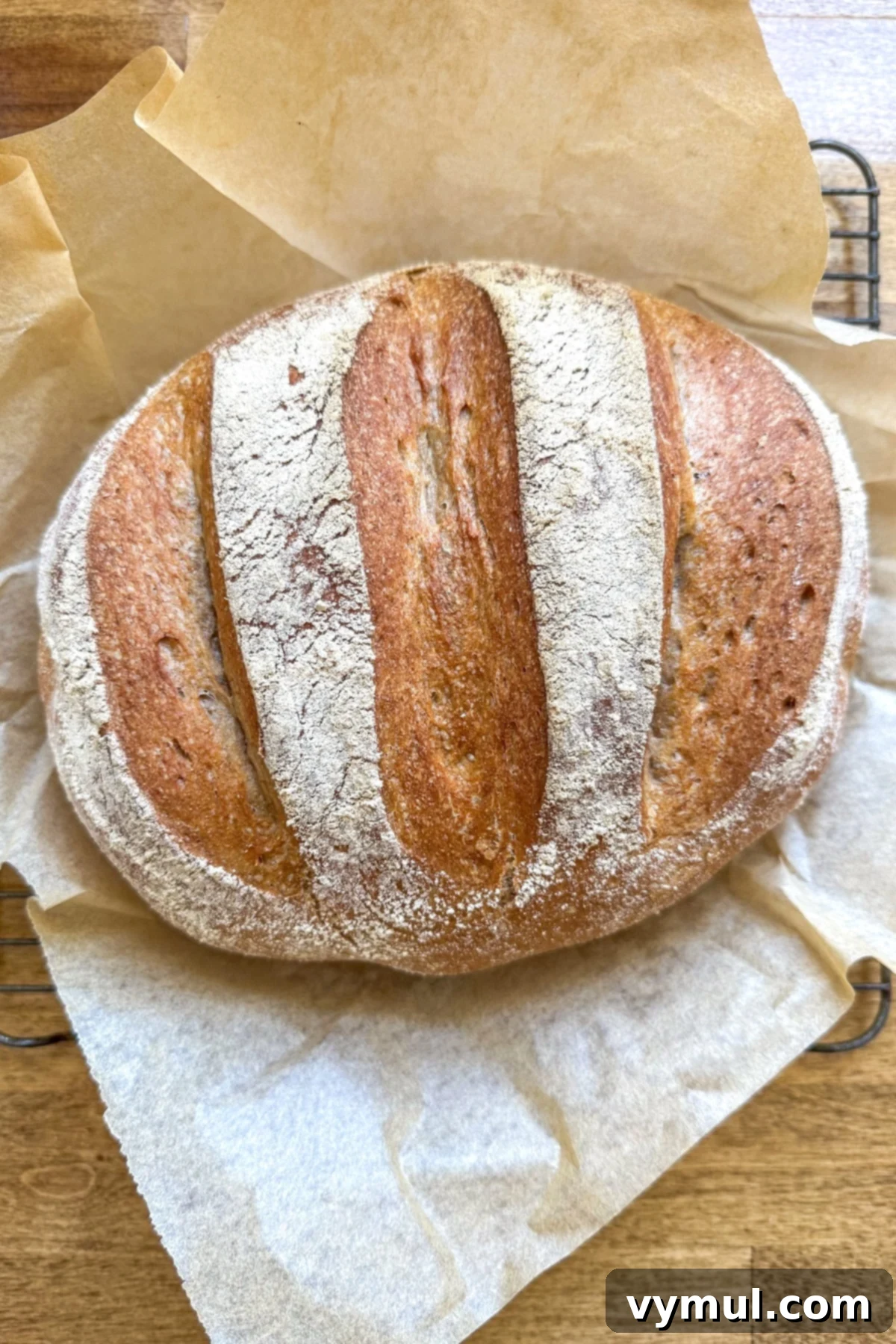 Foolproof Dutch Oven Whole Wheat Artisan Bread 2 Freshly baked artisan bread loaf on parchment paper, ready to cool.