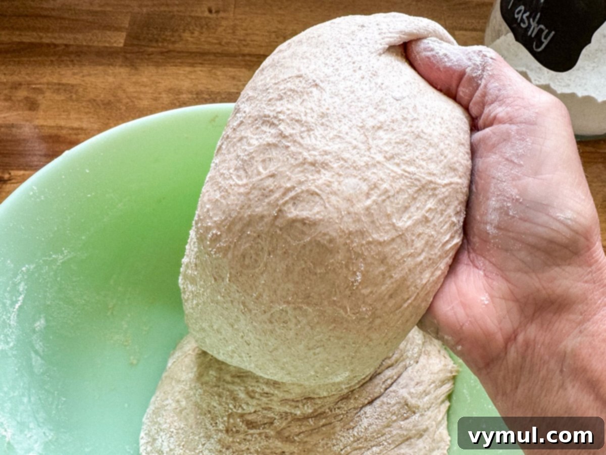 Foolproof Dutch Oven Whole Wheat Artisan Bread 12 Step 5: Pulling off a section of artisan bread dough with a serrated knife for baking.