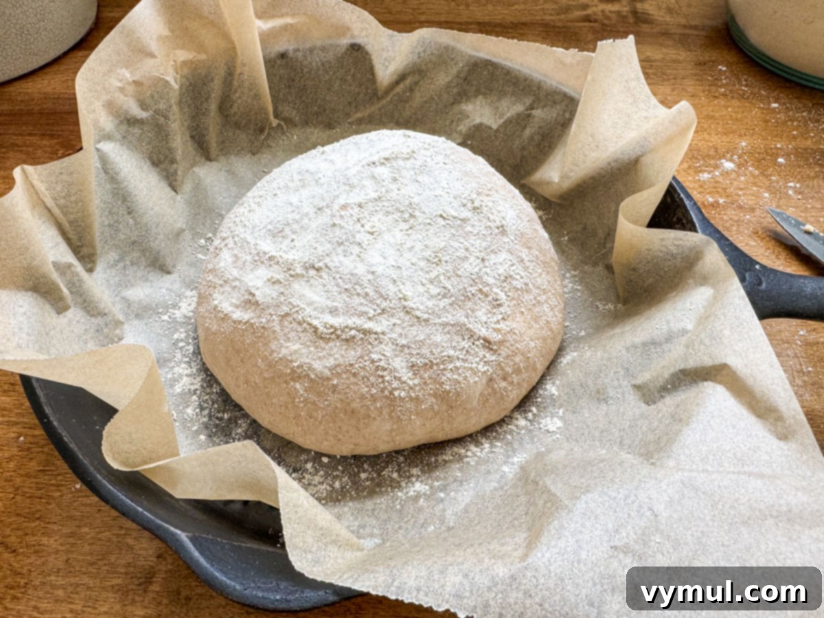 Foolproof Dutch Oven Whole Wheat Artisan Bread 13 Step 6: Rounded artisan bread dough resting on parchment paper, dusted with flour.