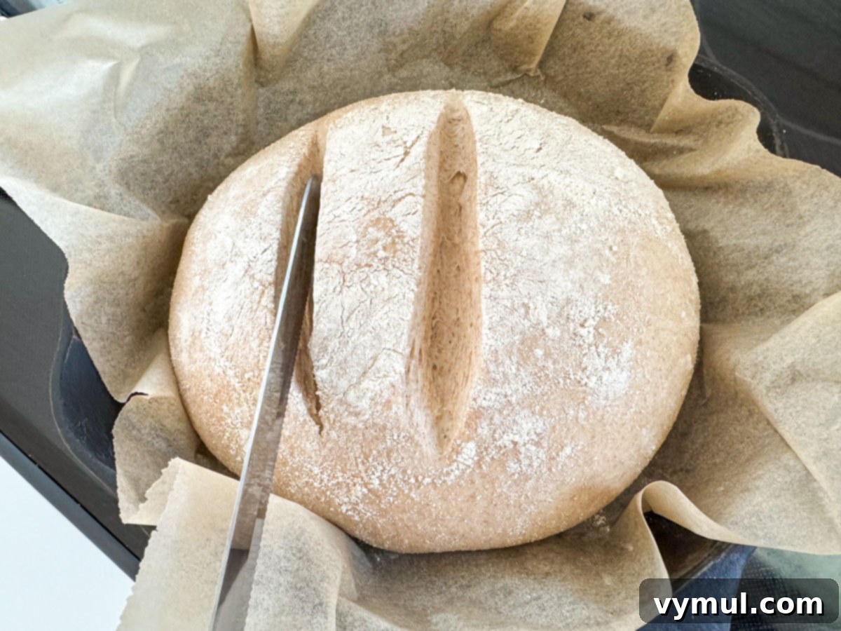 Foolproof Dutch Oven Whole Wheat Artisan Bread 14 Step 7: Slashing the top of the artisan bread dough with a serrated knife.