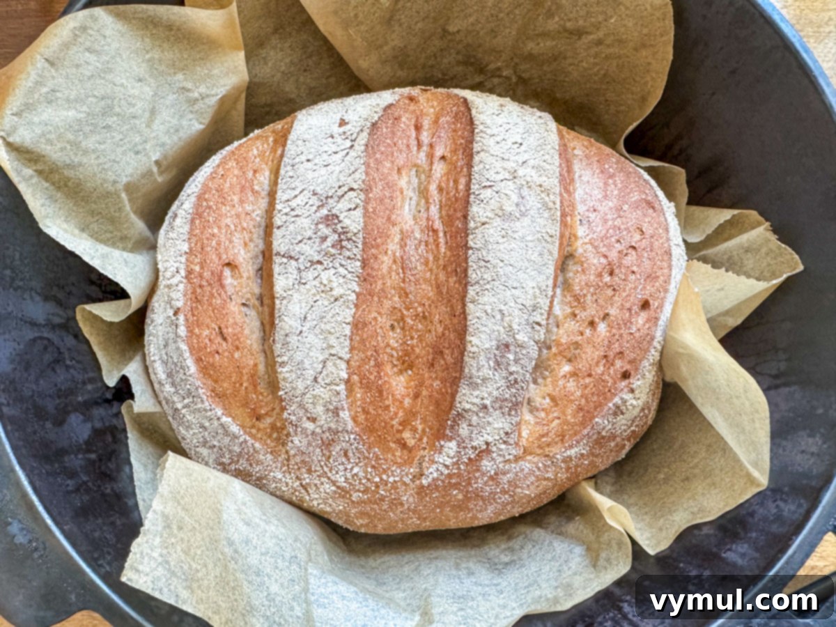 Foolproof Dutch Oven Whole Wheat Artisan Bread 16 Step 9: Beautifully baked artisan bread loaf inside the Dutch oven after the lid has been removed.