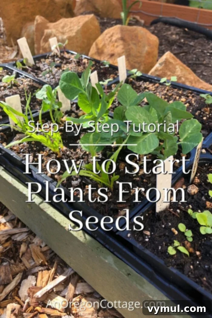 From Seed to Sprout Your Complete Growing Handbook 2 Detailed tutorial for how to start plants from seeds, showing equipment and process