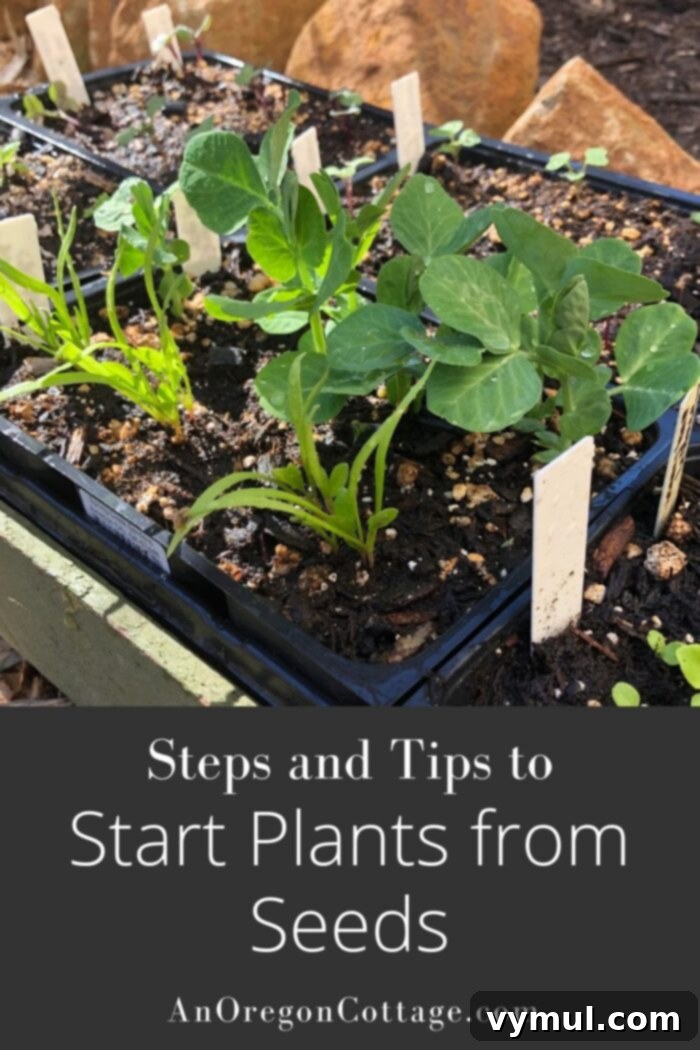 From Seed to Sprout Your Complete Growing Handbook 11 Visual steps and tips for starting plants from seed, covering the entire process