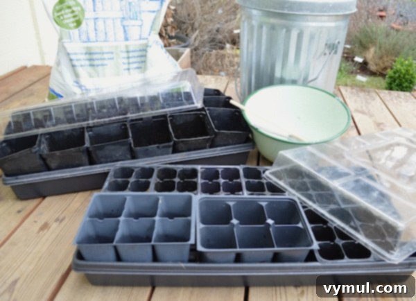 From Seed to Sprout Your Complete Growing Handbook 3 Various seed starting equipment laid out for an indoor gardening project