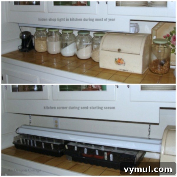 From Seed to Sprout Your Complete Growing Handbook 8 Kitchen Shop Light Seed Station setup