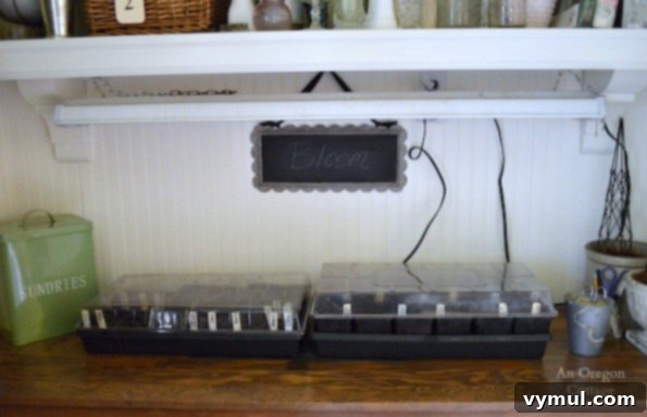 From Seed to Sprout Your Complete Growing Handbook 9 Shop light Seed Starting Station under a dedicated shelf