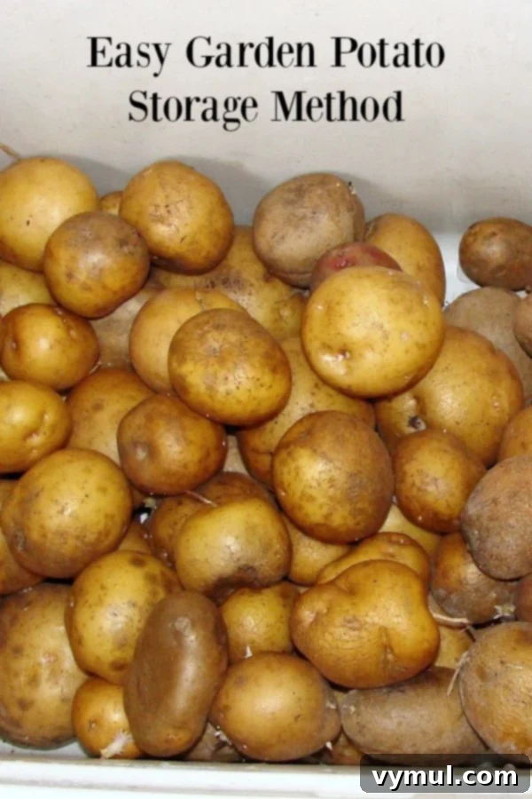 Keep Your Homegrown Potatoes Fresh Longer 2 Easy garden potato storage method- eat potatoes through February