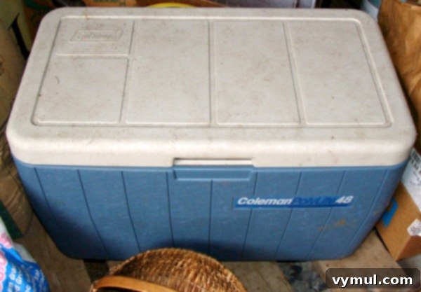 Keep Your Homegrown Potatoes Fresh Longer 3 Storing Potatoes in Cooler