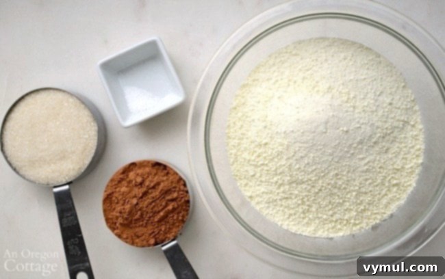 Homemade Hot Cocoa Mix ingredients