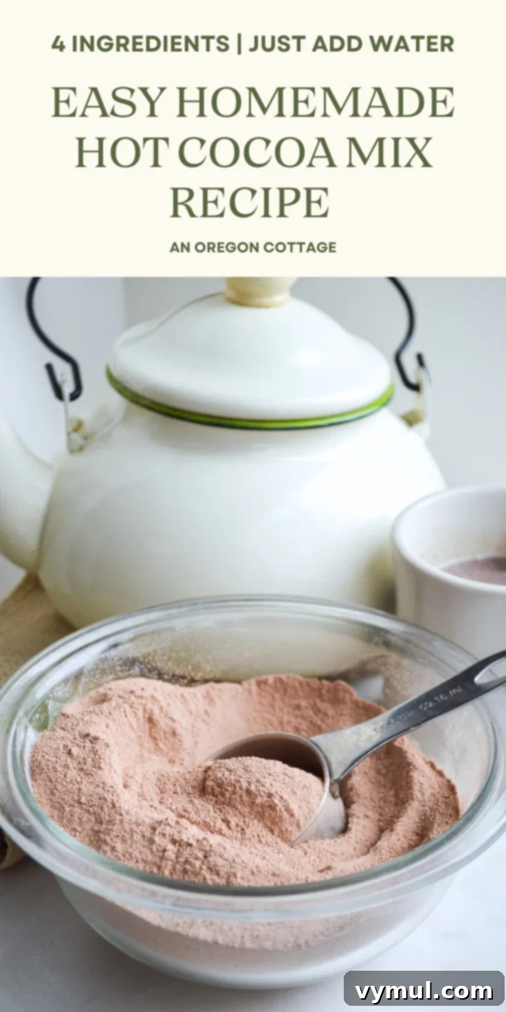 homemade hot cocoa mix Pinterest pin image